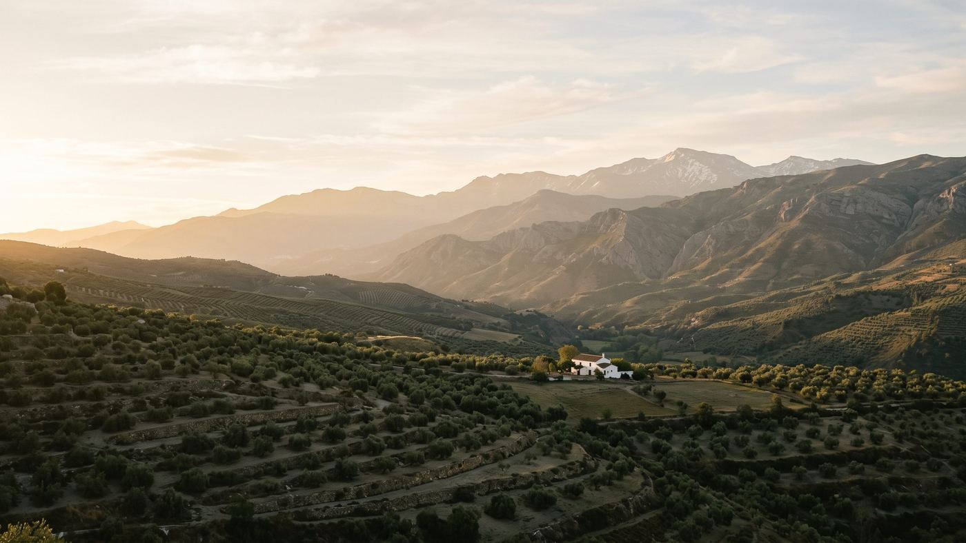 Sierra Nevada from the Lecrín Valley, first light
